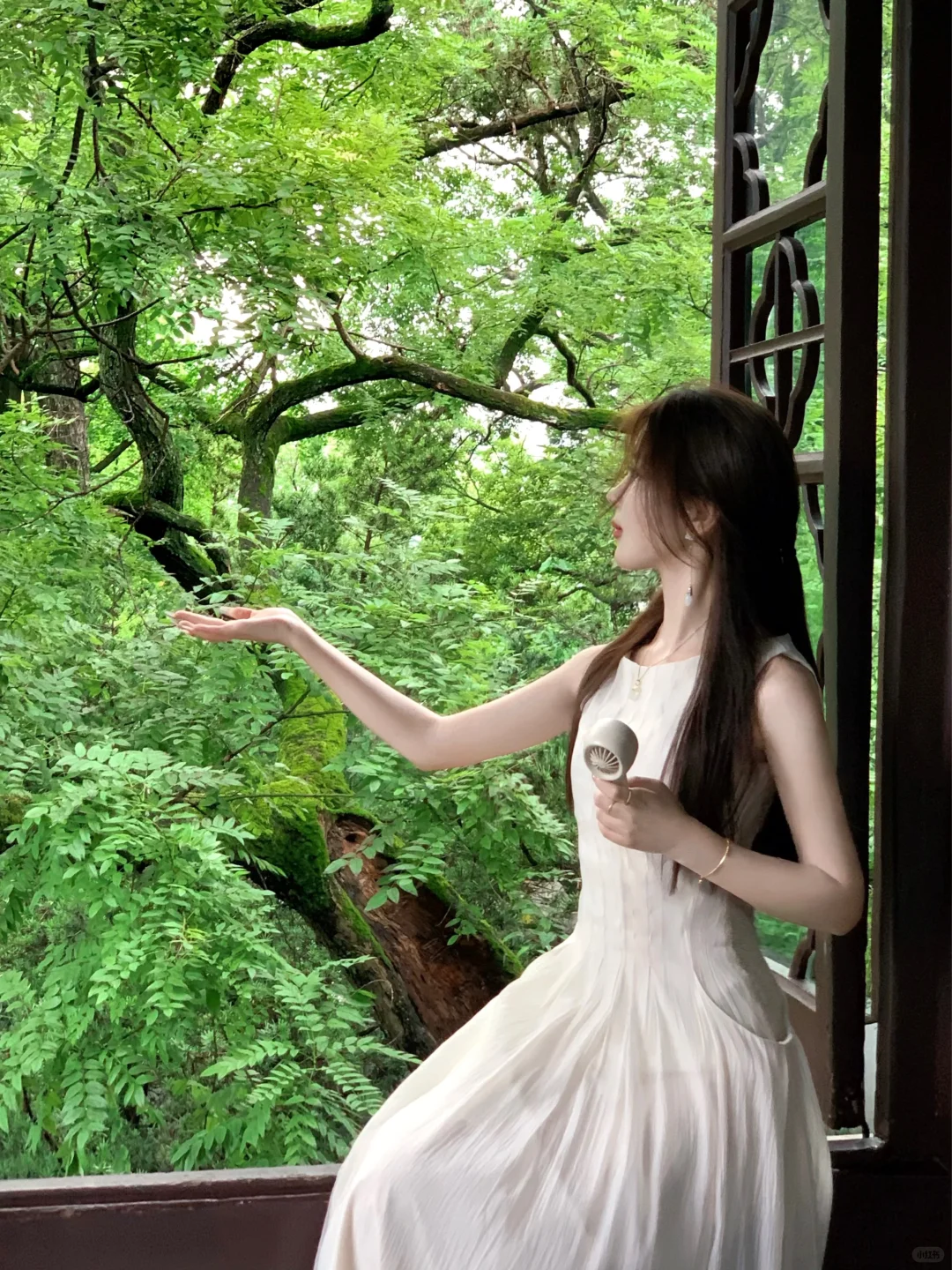 盛夏与蝉鸣🍃