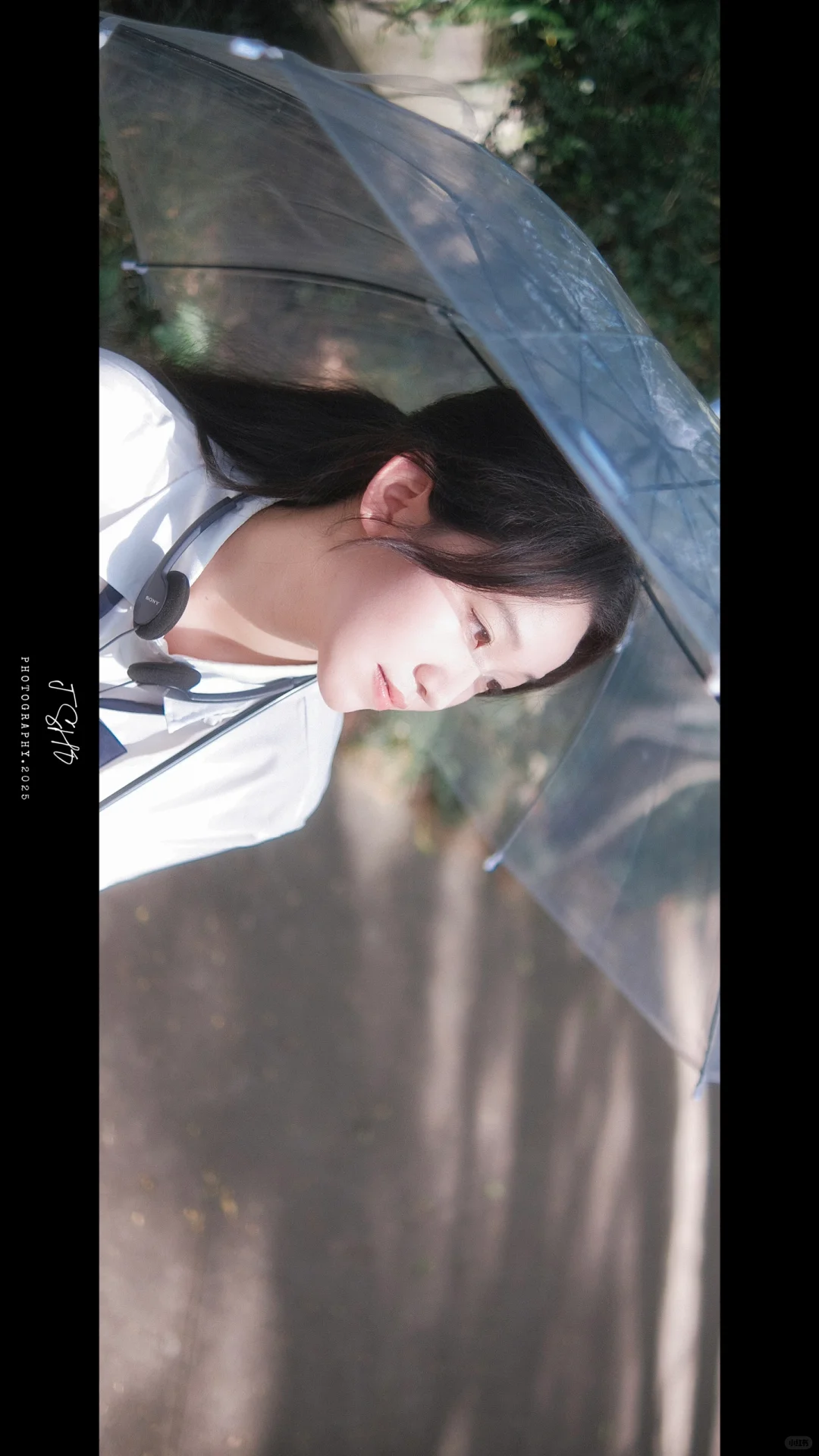森系情绪｜“初夏的午后阳光，就像是一场电影”