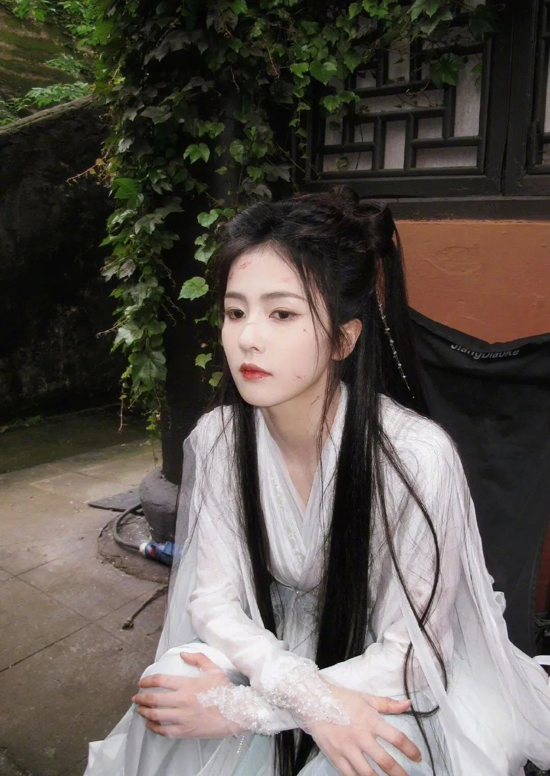 白鹿 临江仙 壁纸