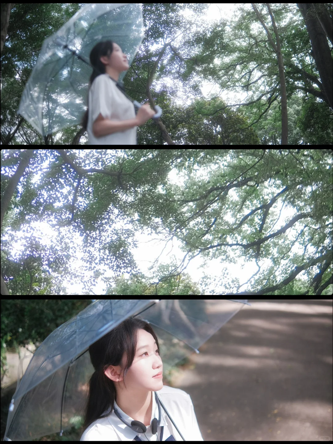 森系情绪｜“初夏的午后阳光，就像是一场电影”