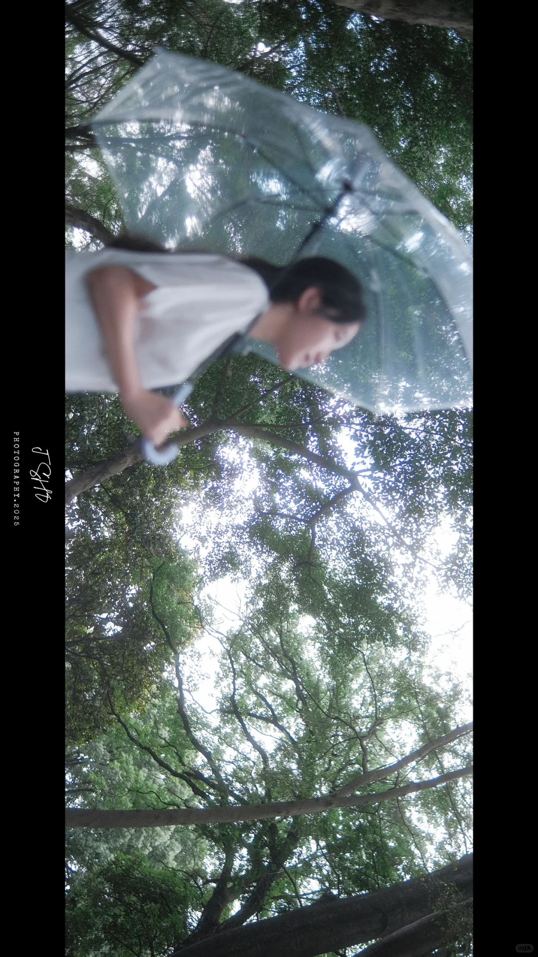 森系情绪｜“初夏的午后阳光，就像是一场电影”