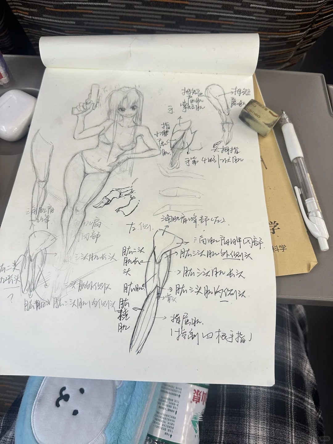 学了肌肉以后画人体