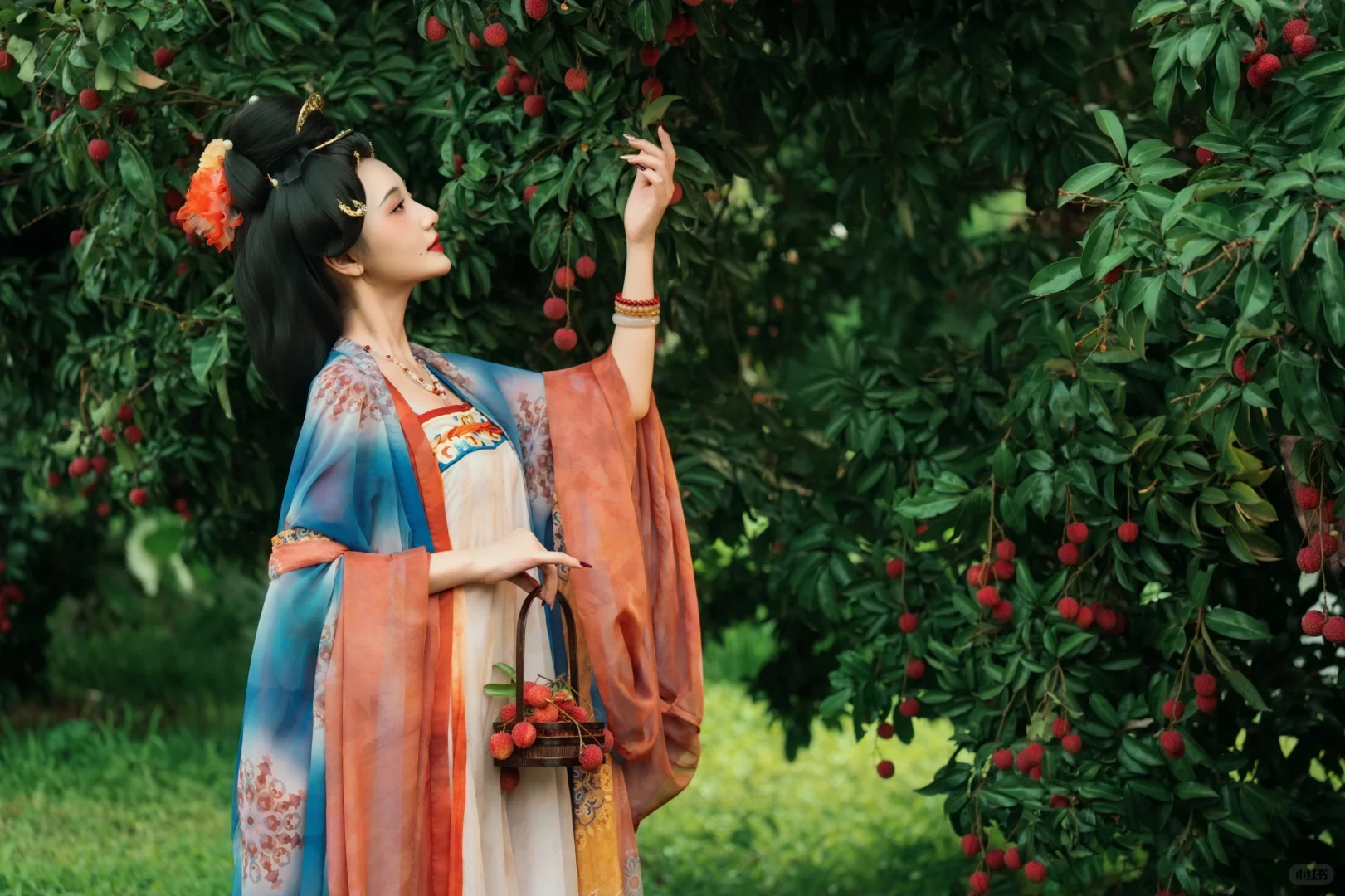 汉服荔枝宴，绝美！