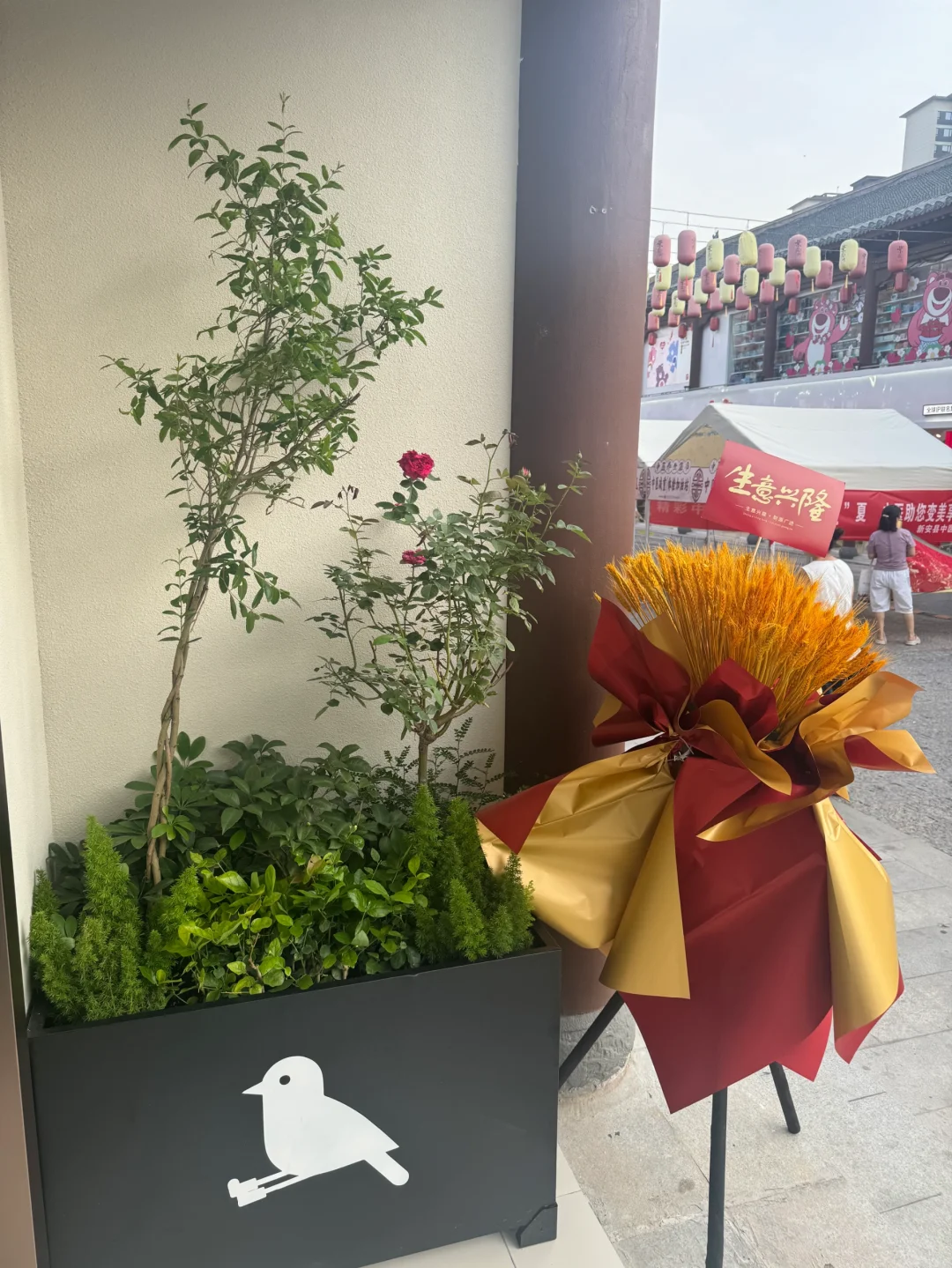 舒服到不想脱的棉麻袜开业啦✨