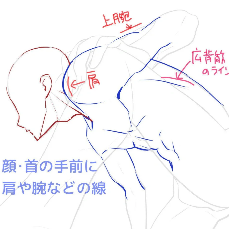 人体动态✨大透视