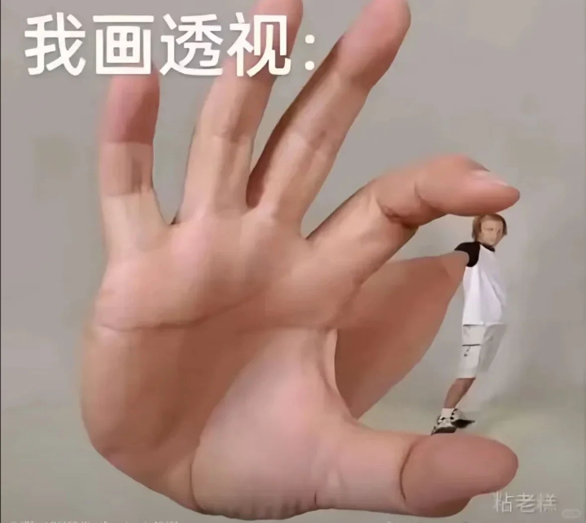 我画透视
