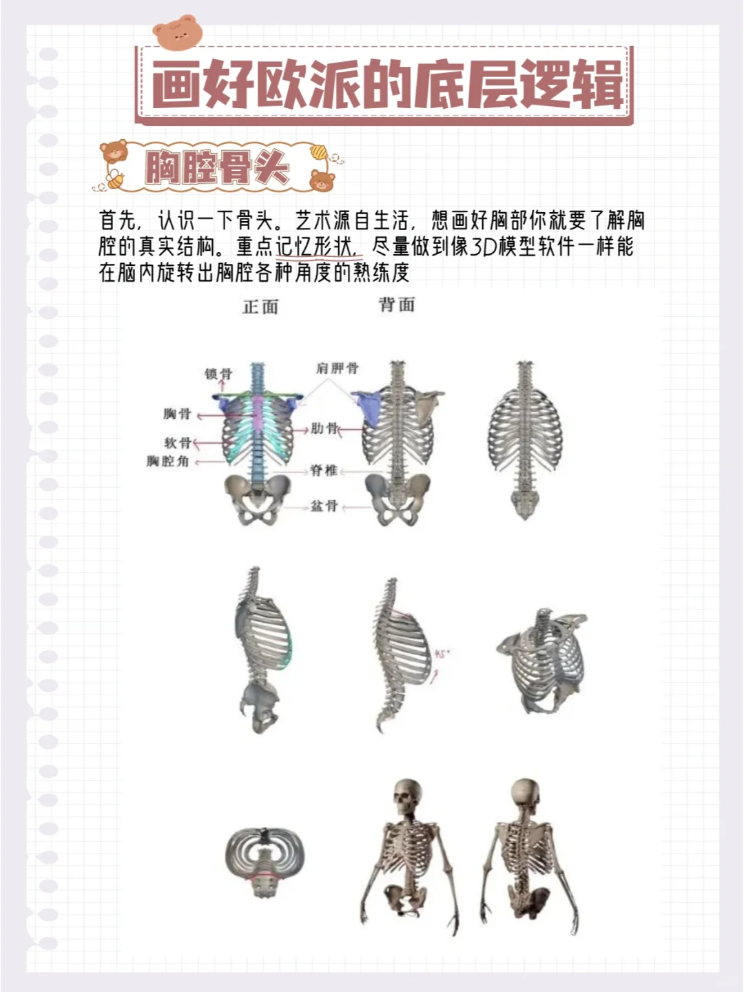 学透这12页纸，你画贫乳就很厉害了！！