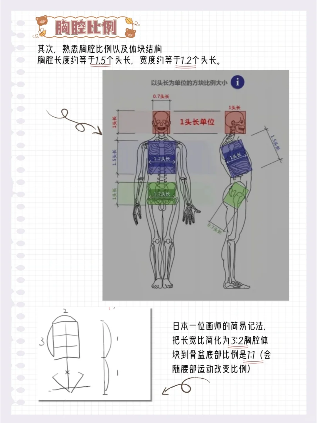 学透这12页纸，你画贫乳就很厉害了！！