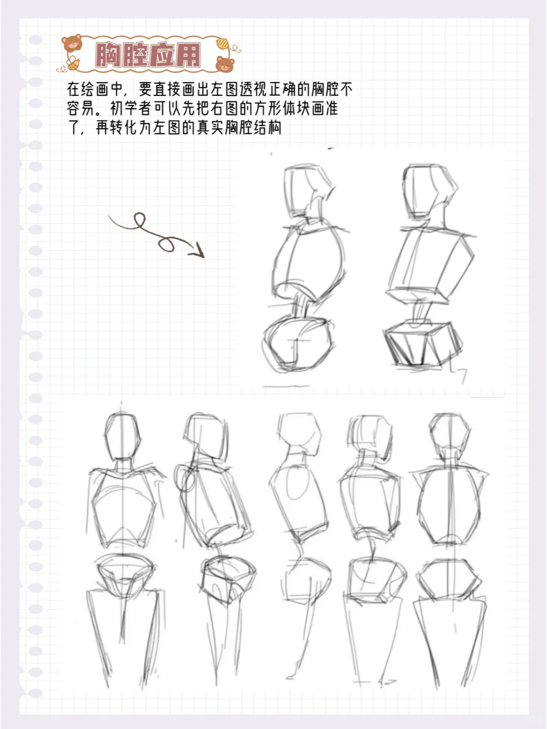 学透这12页纸，你画贫乳就很厉害了！！