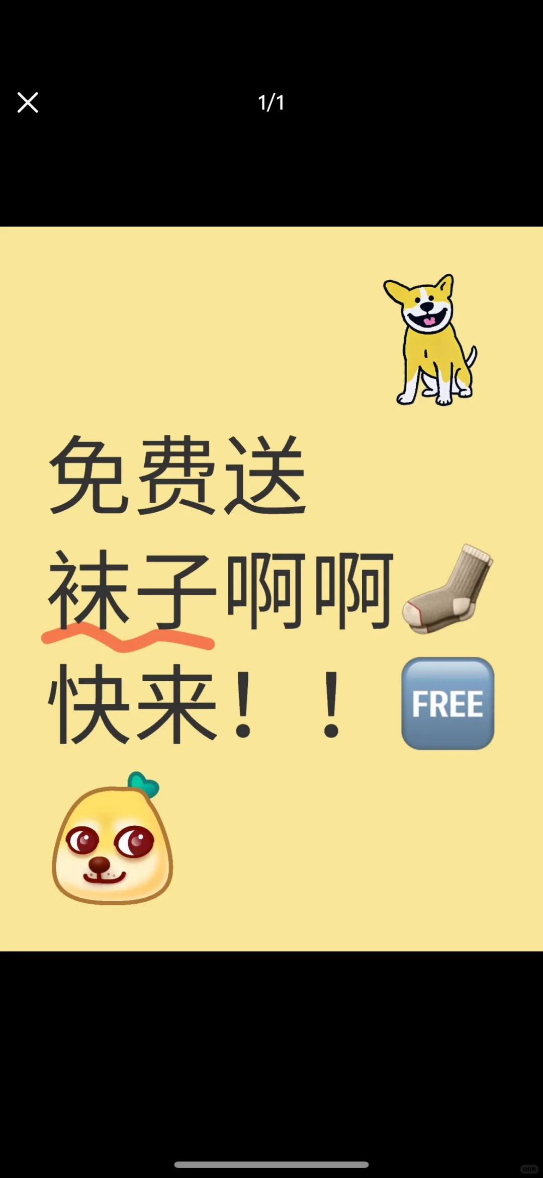 免费送丝袜袜子🧦
