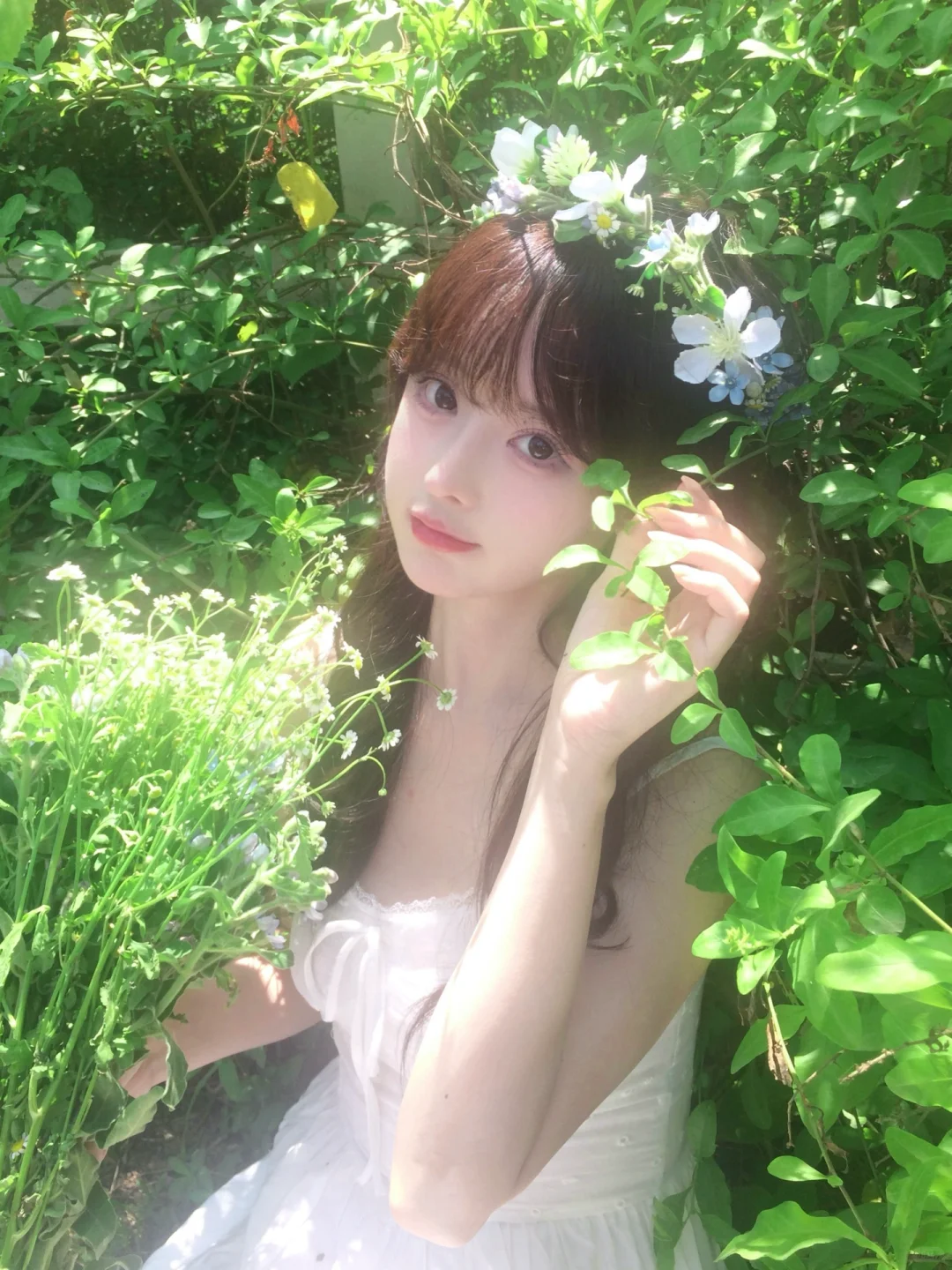 ˖ 🍃 ⁺仲夏夜之梦⊹˚₊