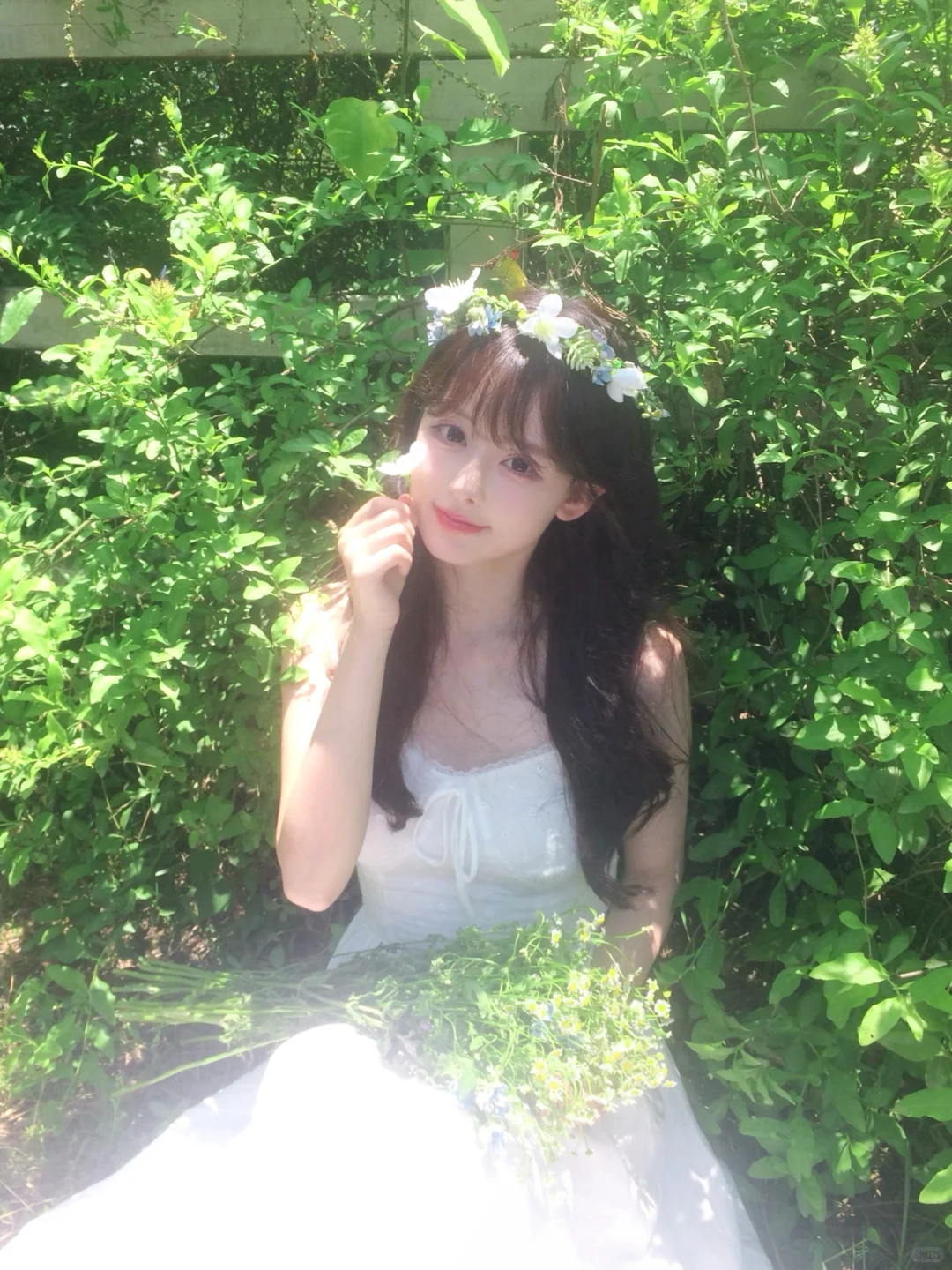 ˖ 🍃 ⁺仲夏夜之梦⊹˚₊