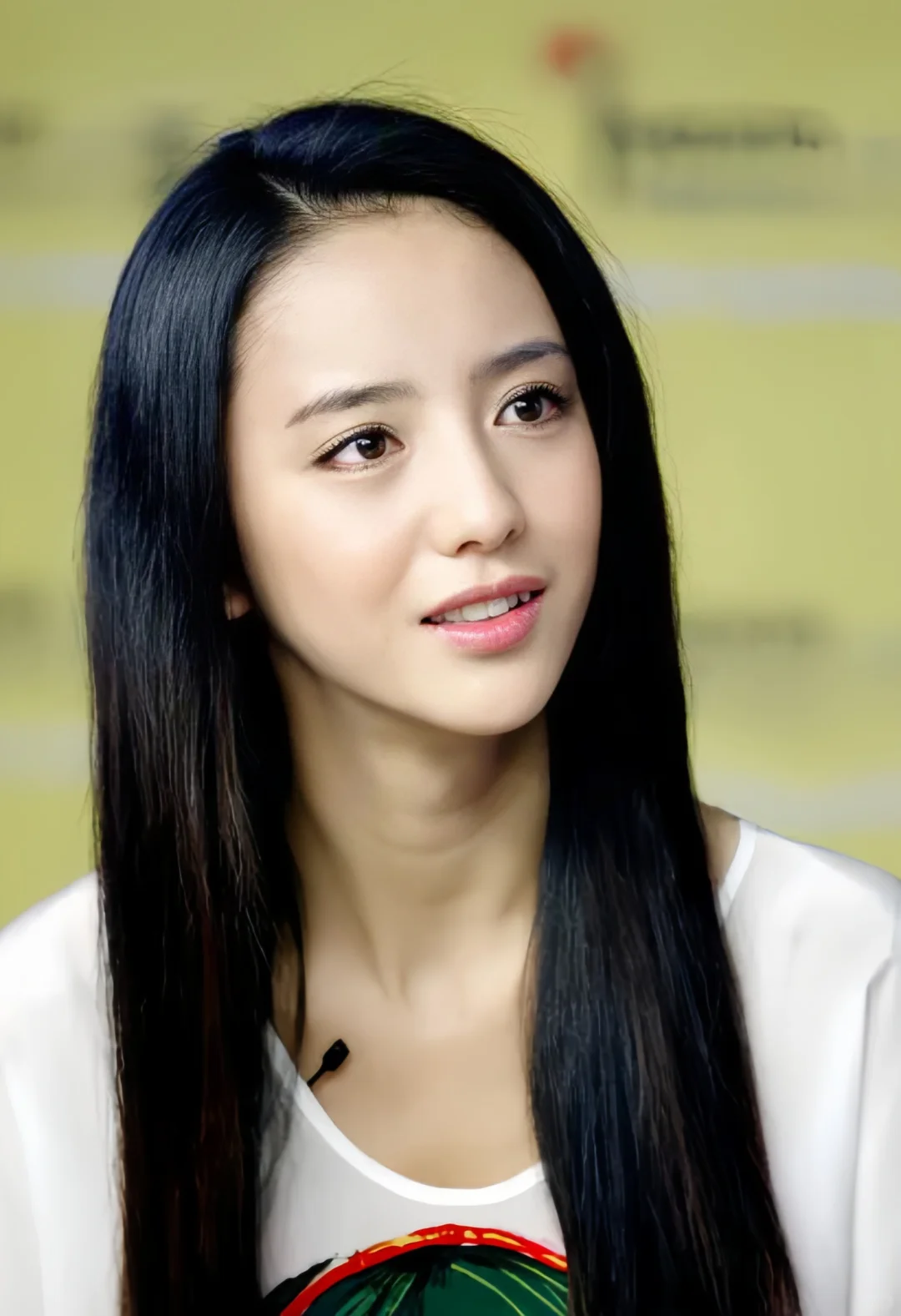 如果非说美人有模板……