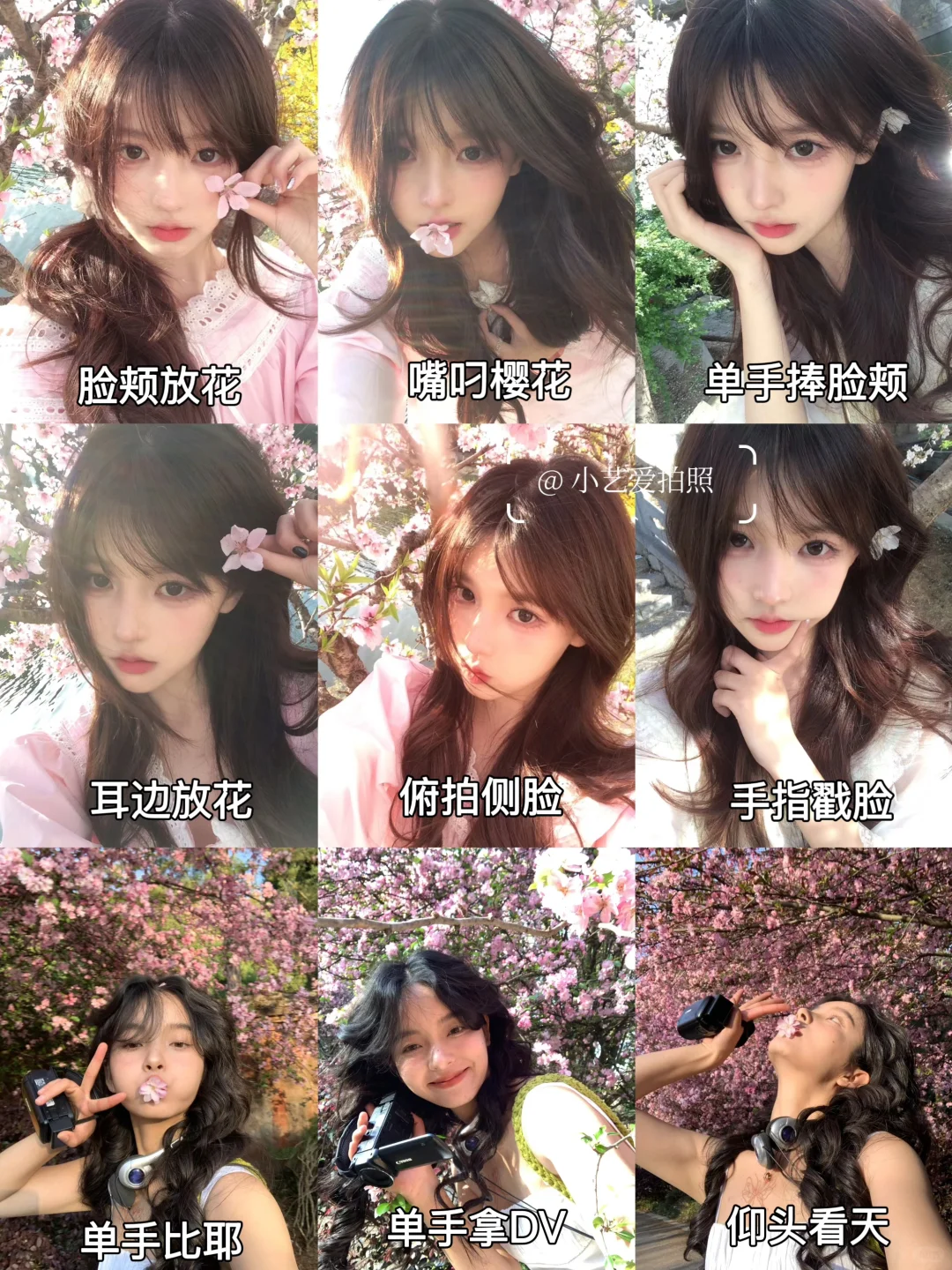 81个樱花万能拍照姿势🌸纯干货来学❗