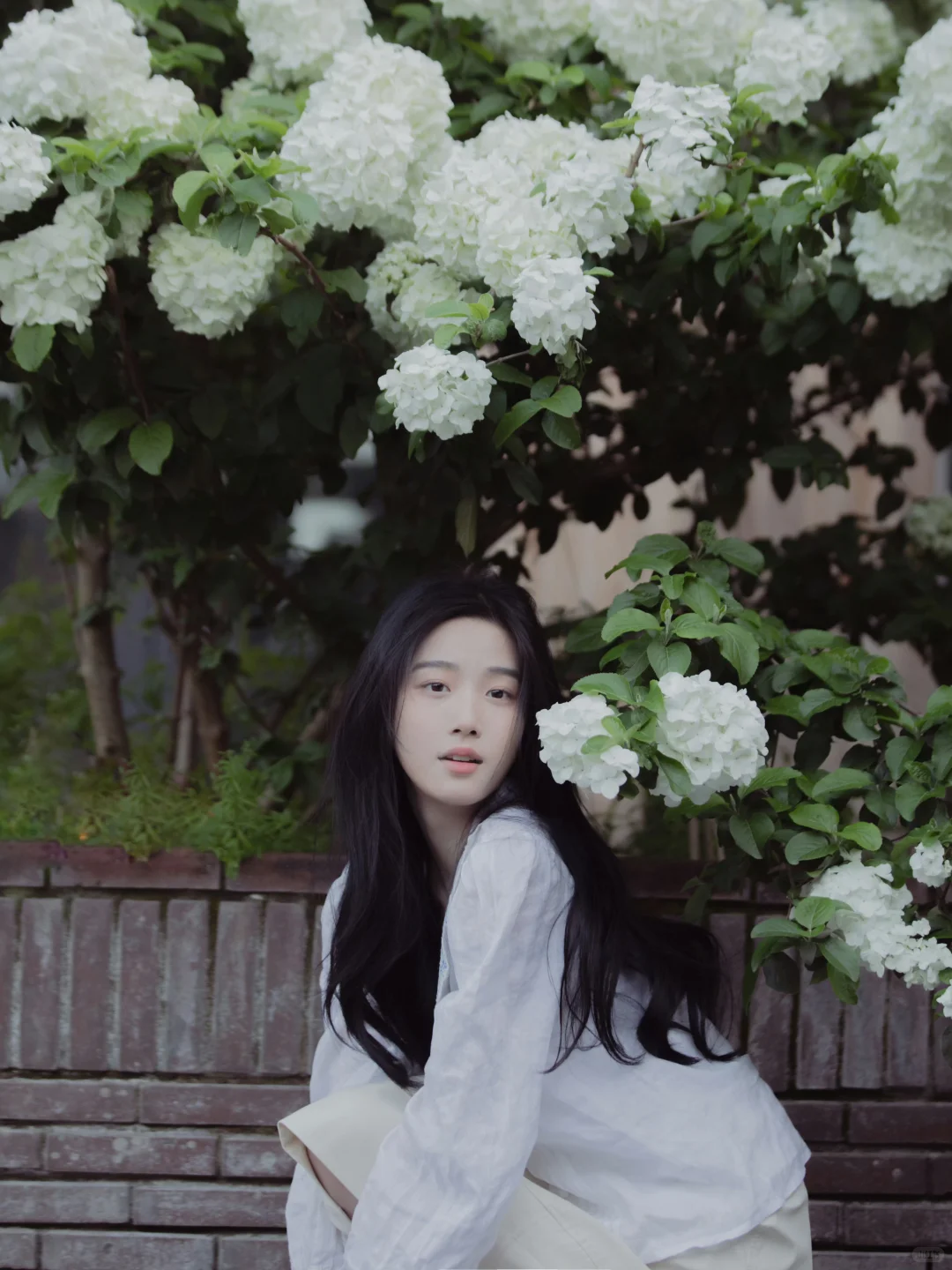 卢昱晓～淡淡的