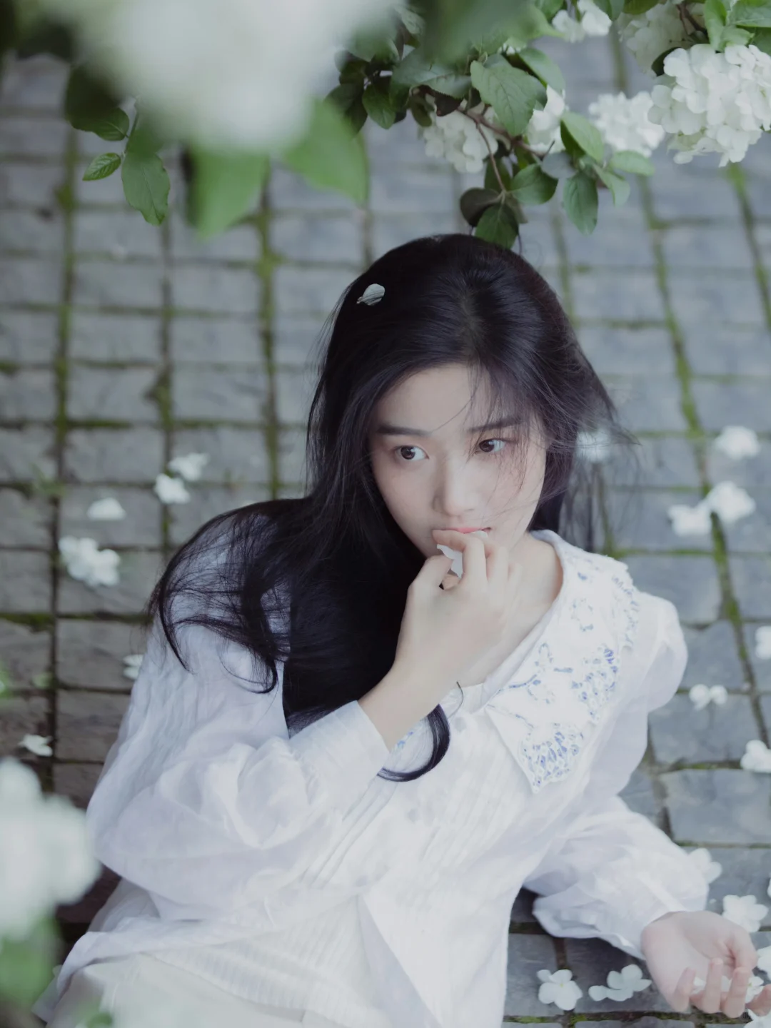 卢昱晓～淡淡的