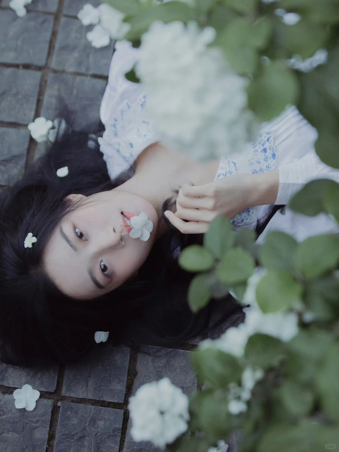 卢昱晓～淡淡的