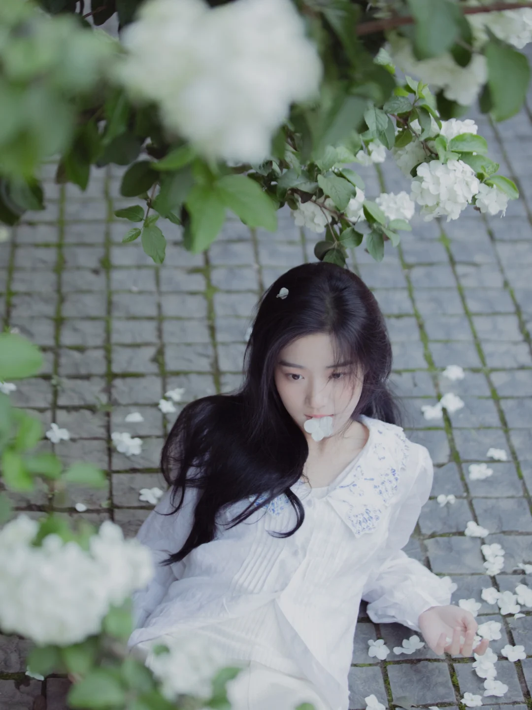 卢昱晓～淡淡的