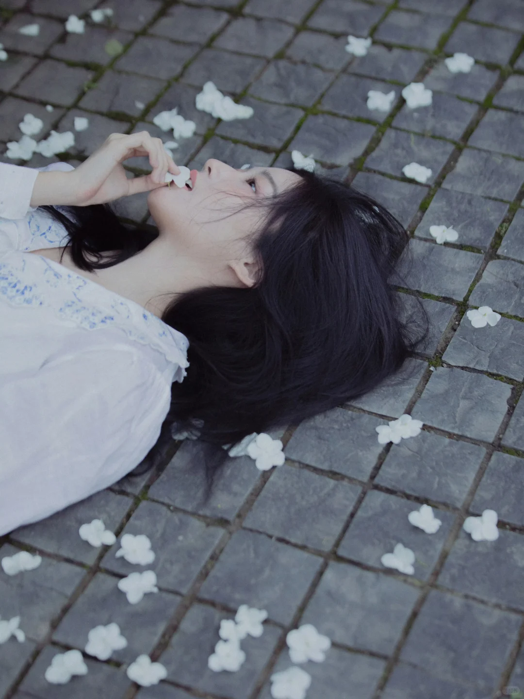 卢昱晓～淡淡的