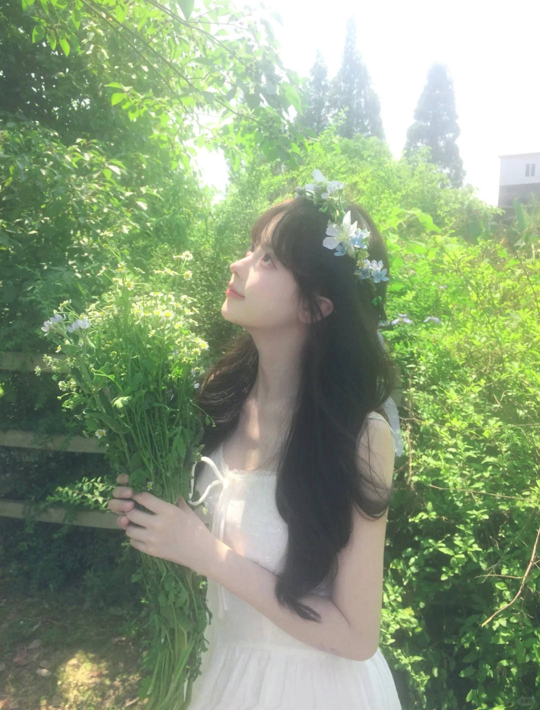 ˖ 🍃 ⁺仲夏夜之梦⊹˚₊