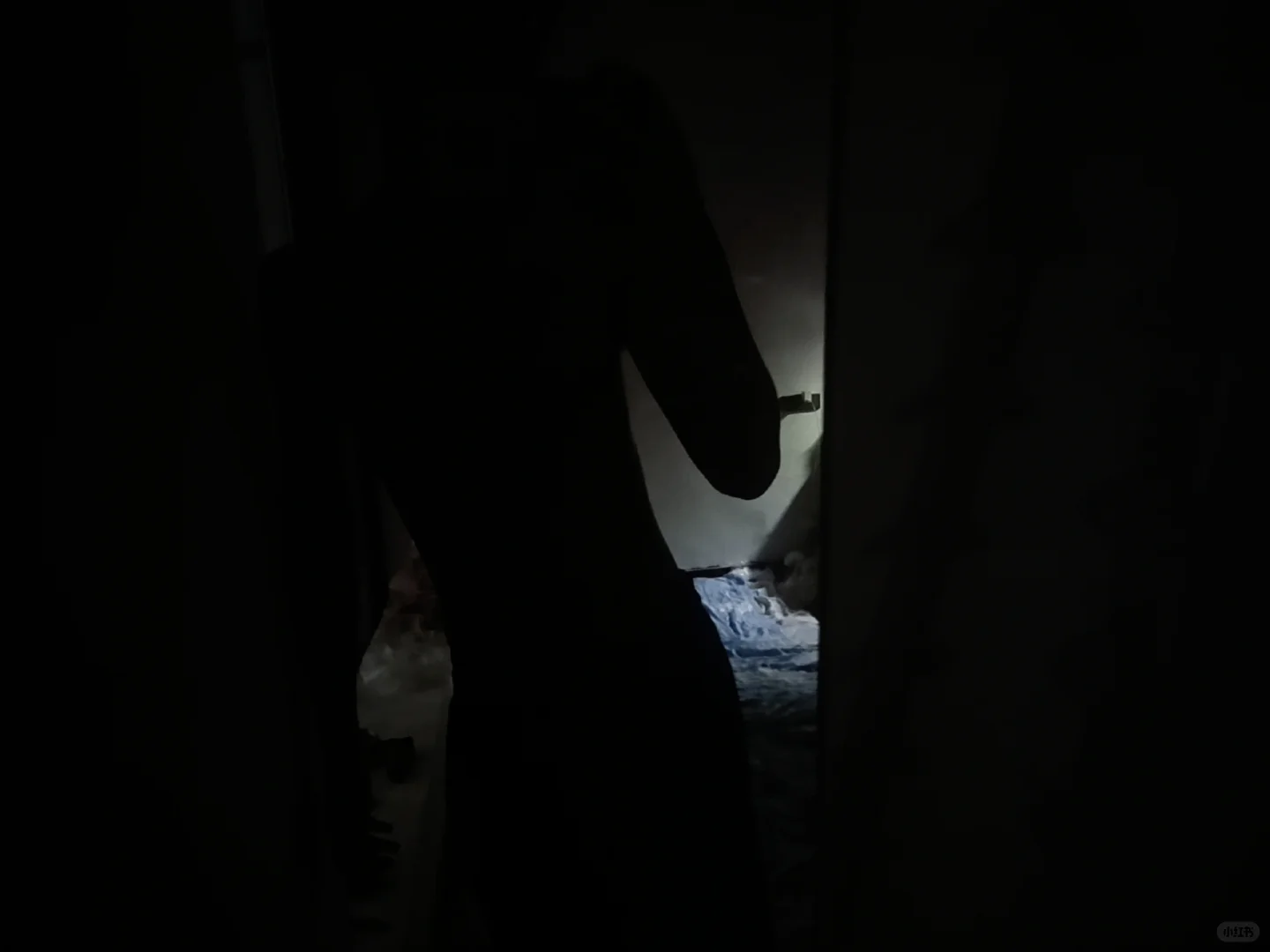 给你们看看身形