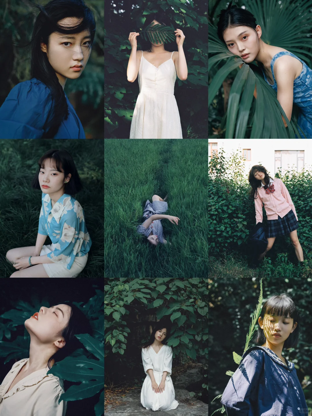 夏日美学，我镜头下“肆意的绿”