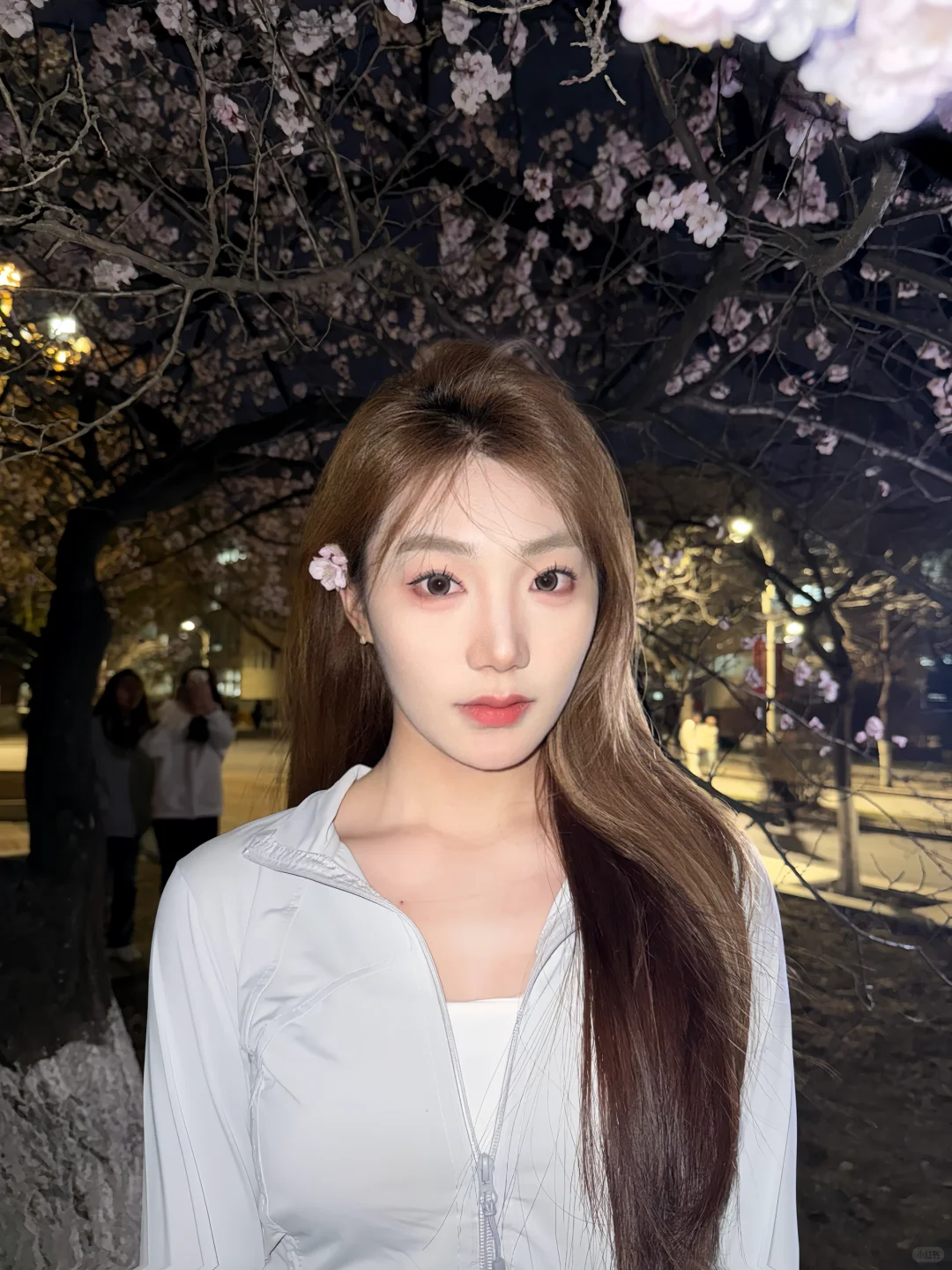 沈师的花开了🌸