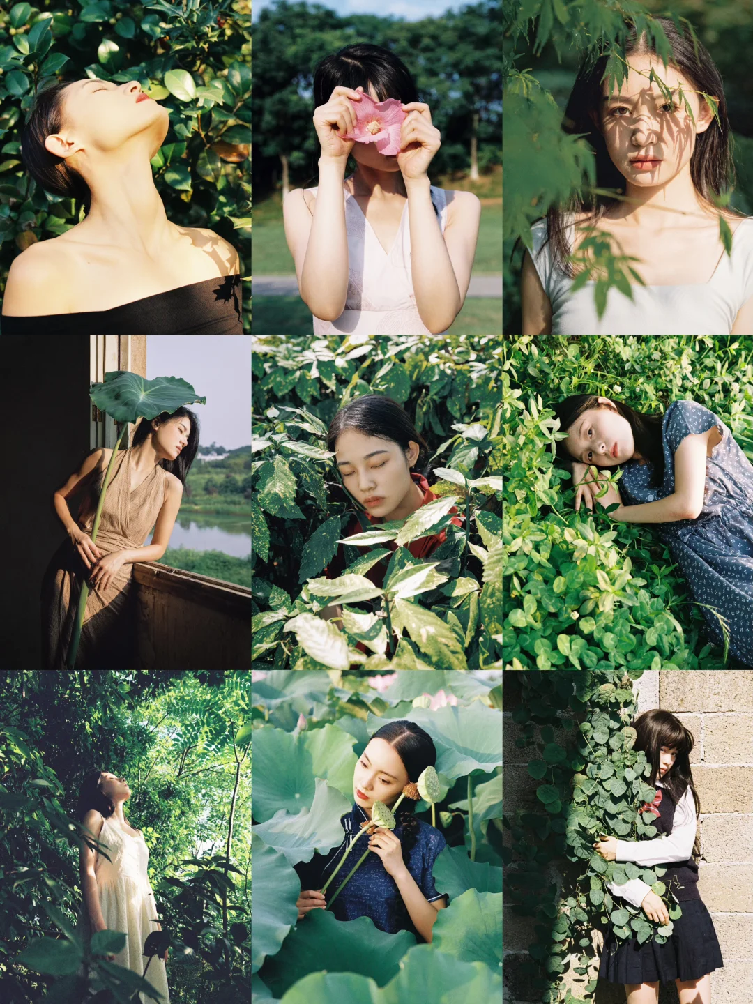 夏日美学，我镜头下“肆意的绿”