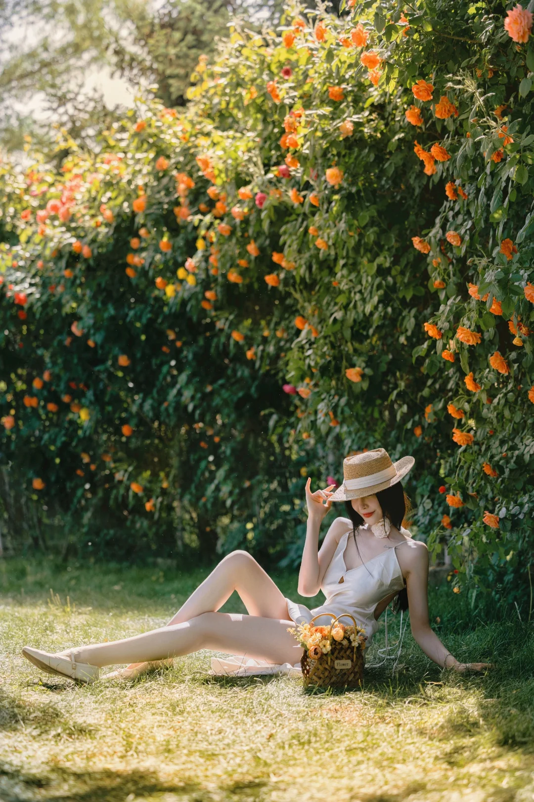 北京法式浪漫花墙·初夏莫奈