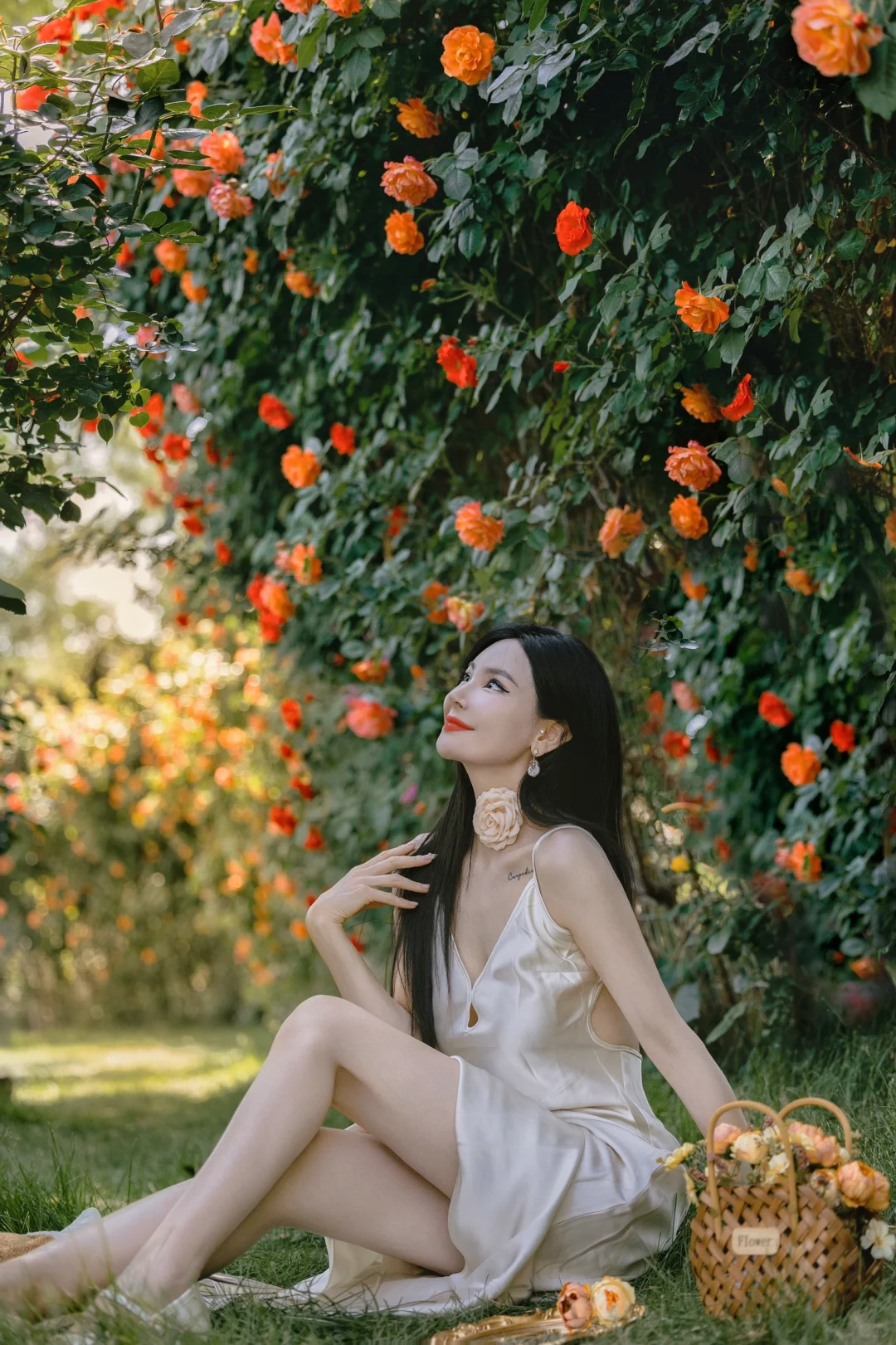 北京法式浪漫花墙·初夏莫奈