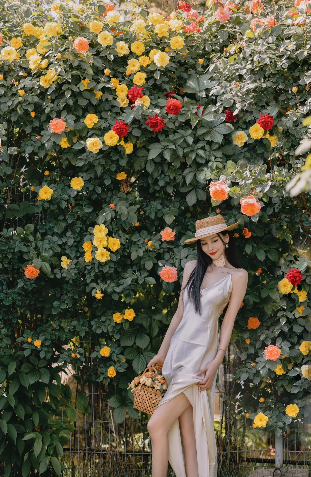 北京法式浪漫花墙·初夏莫奈