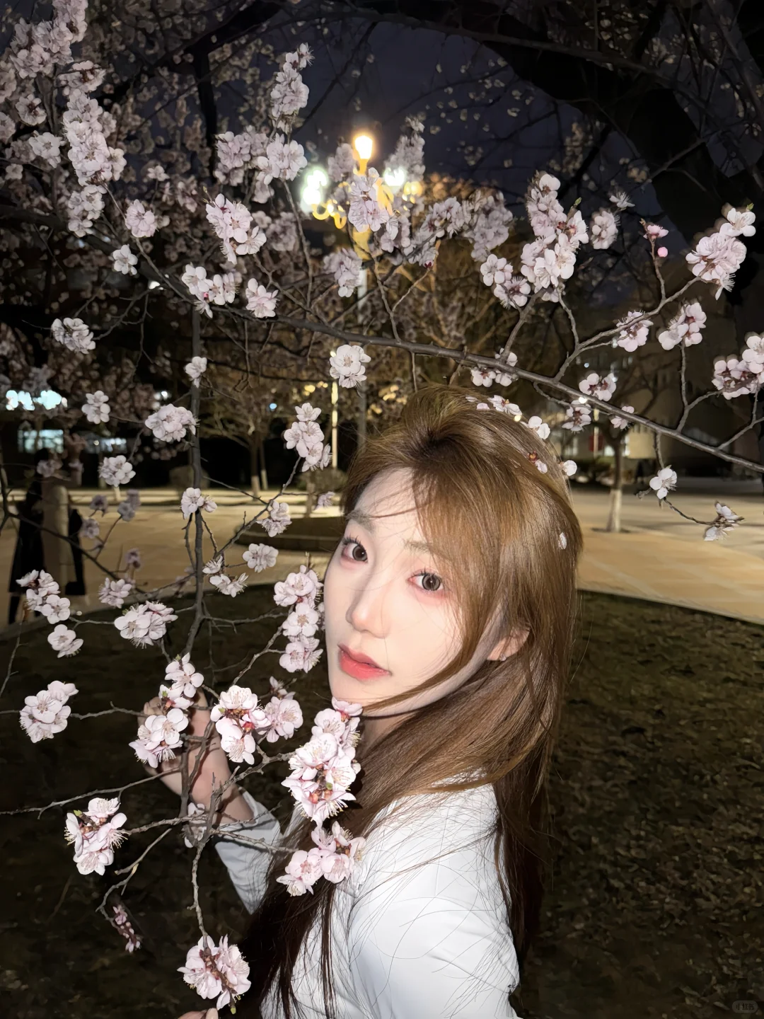 沈师的花开了🌸