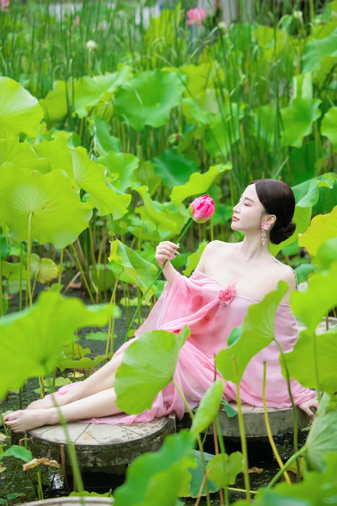 山有扶苏，隰有荷华🪷