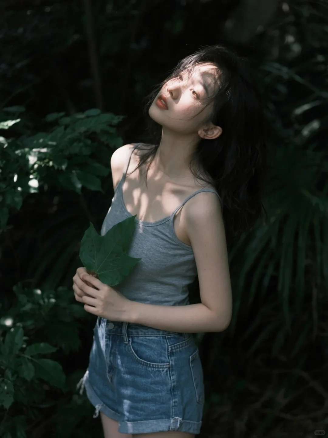 夏日清凉治愈系
