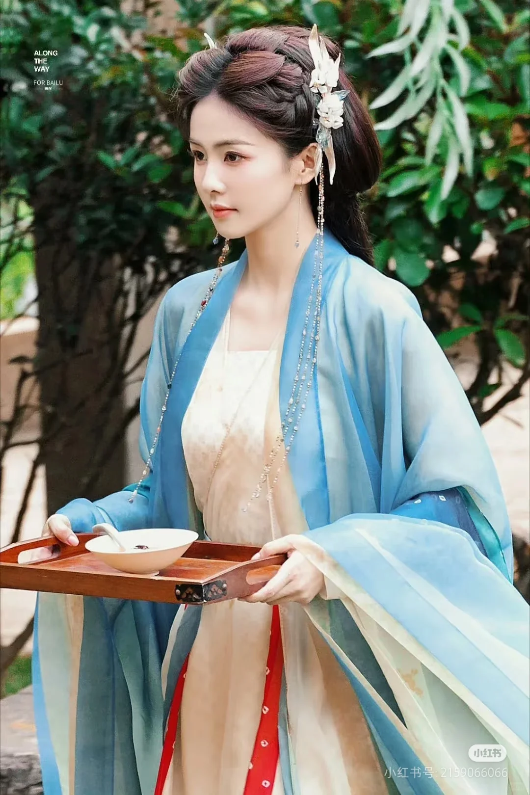 临江仙白鹿！