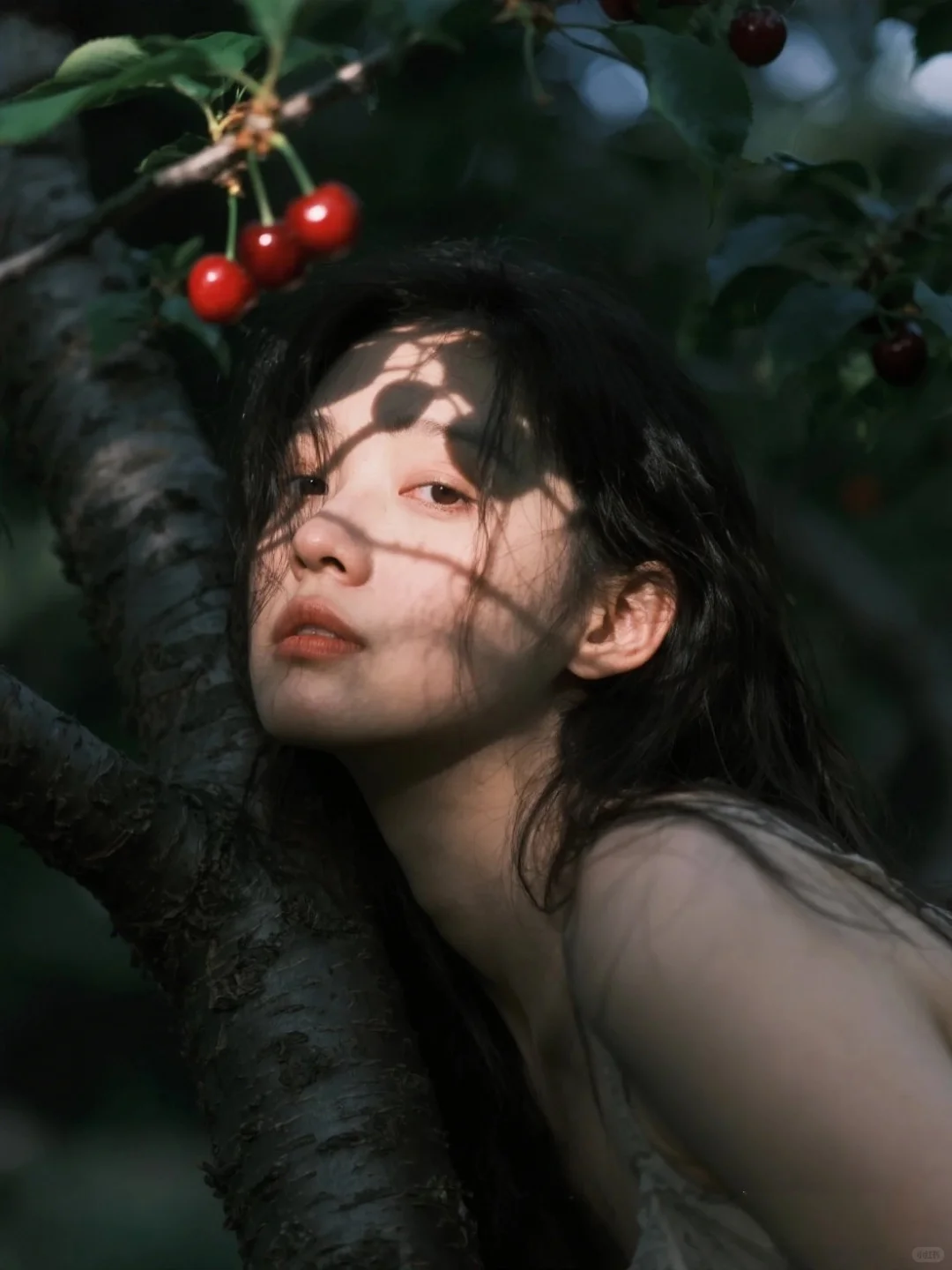 樱桃熟了🍒