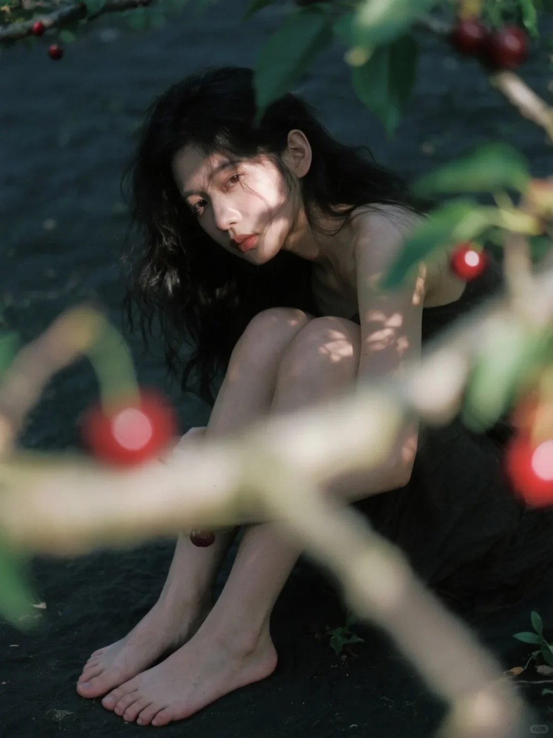 樱桃熟了🍒