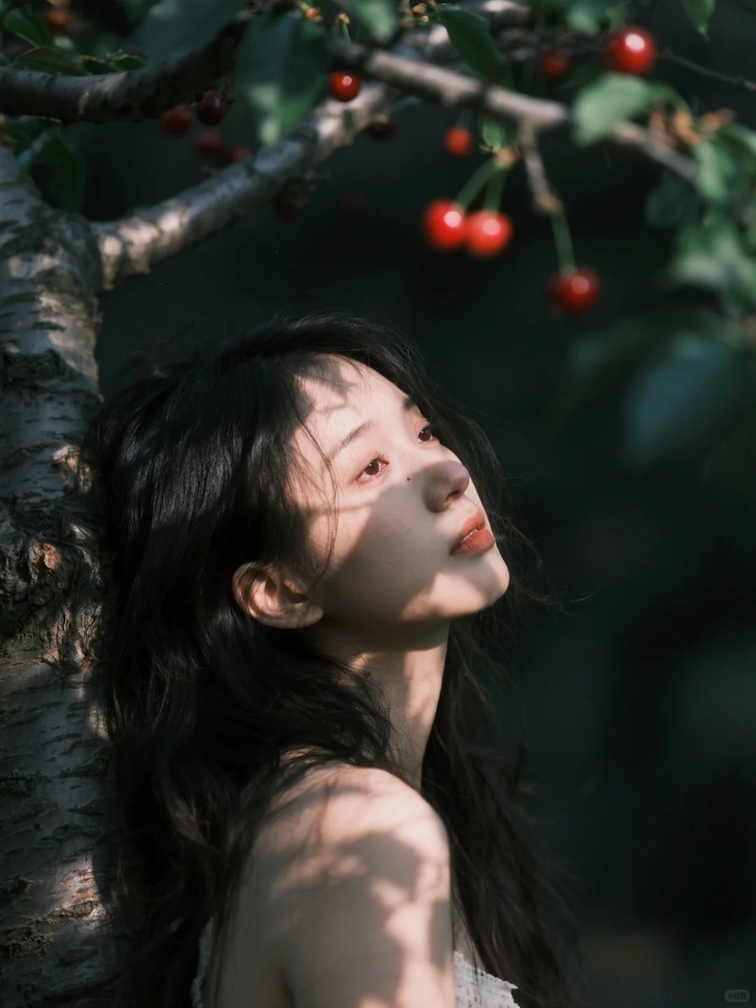 樱桃熟了🍒