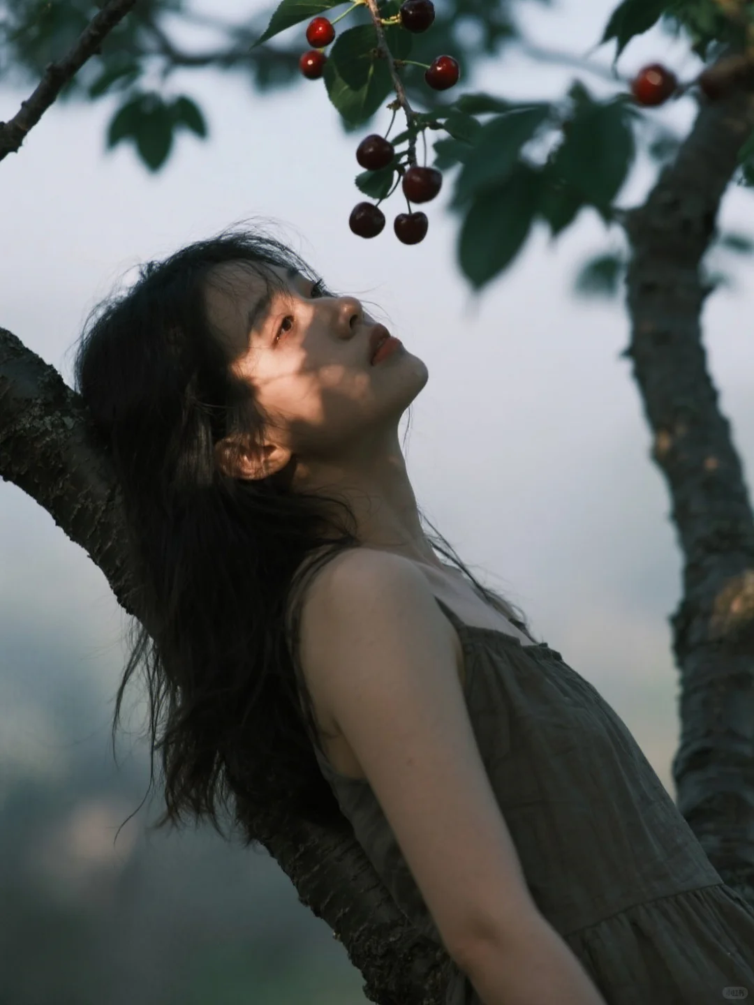 樱桃熟了🍒