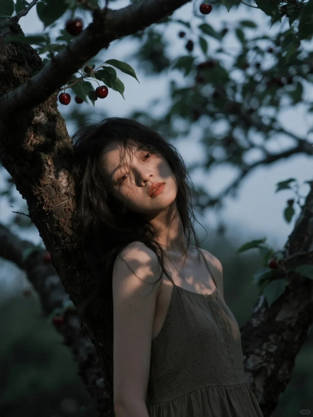 樱桃熟了🍒