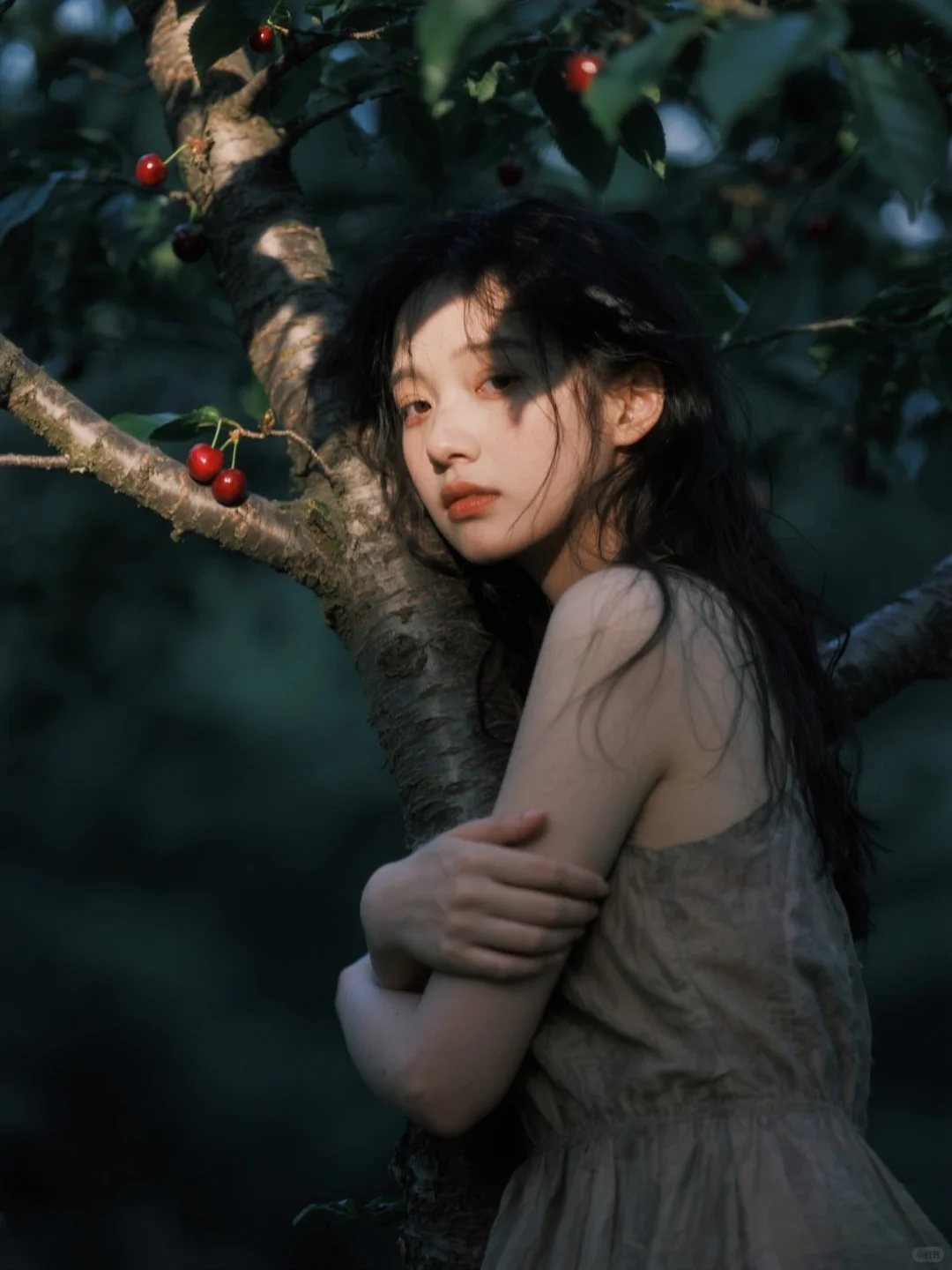 樱桃熟了🍒