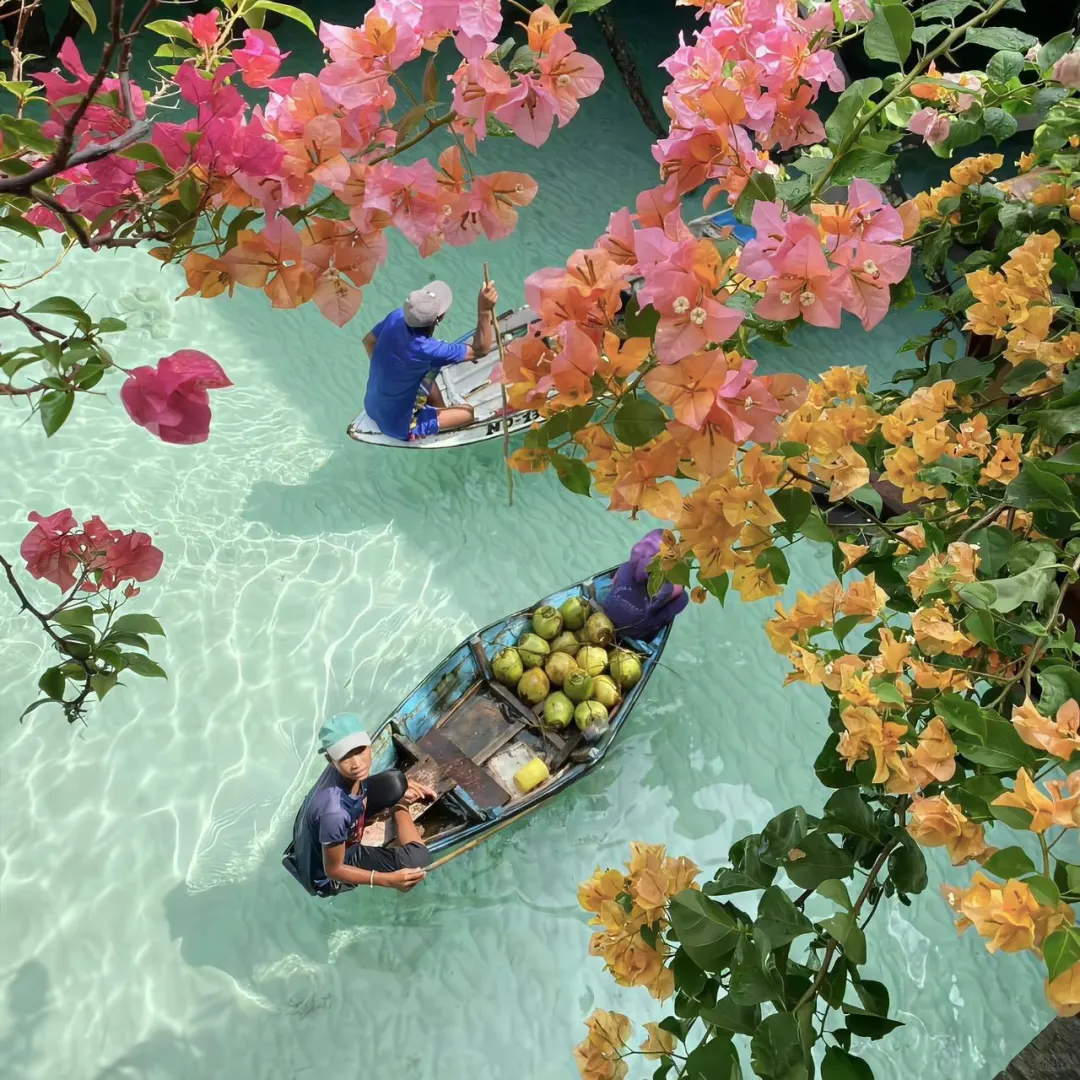 WeChat|夏日清新|女头＋壁纸