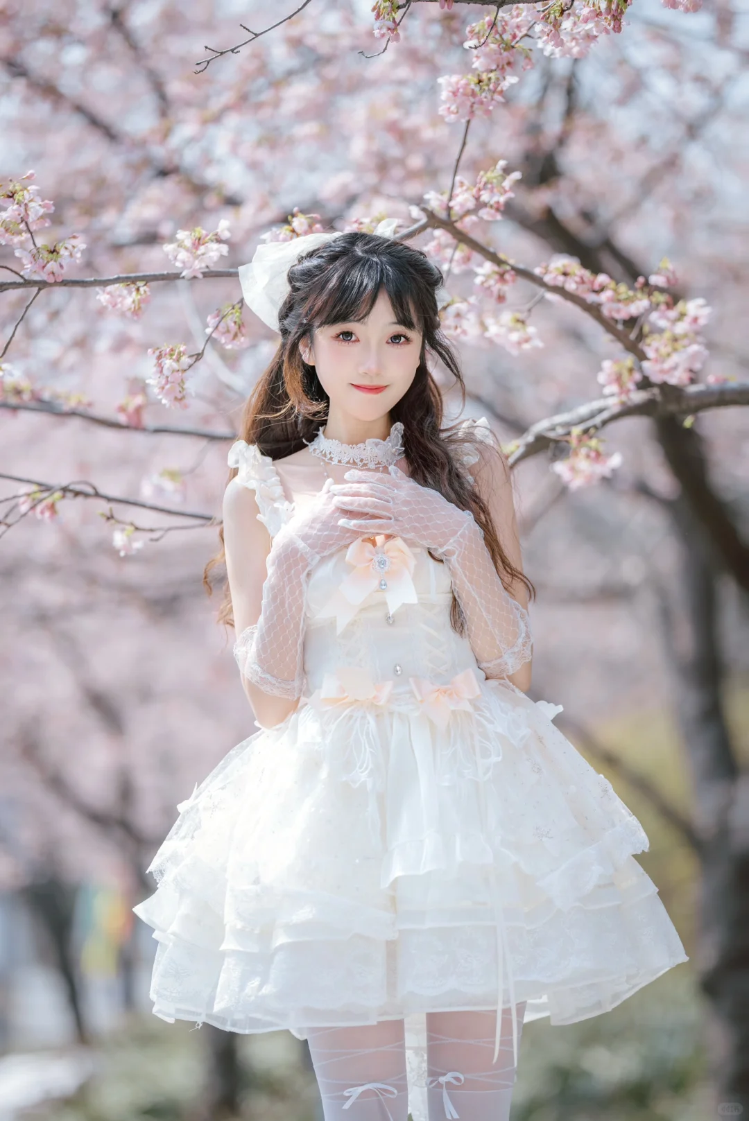 交大大四 | 像翩翩起舞的樱花芭蕾少女🩰🌸