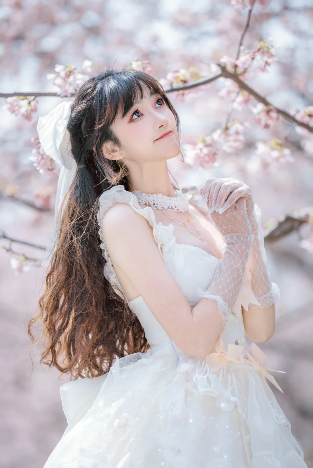 交大大四 | 像翩翩起舞的樱花芭蕾少女🩰🌸