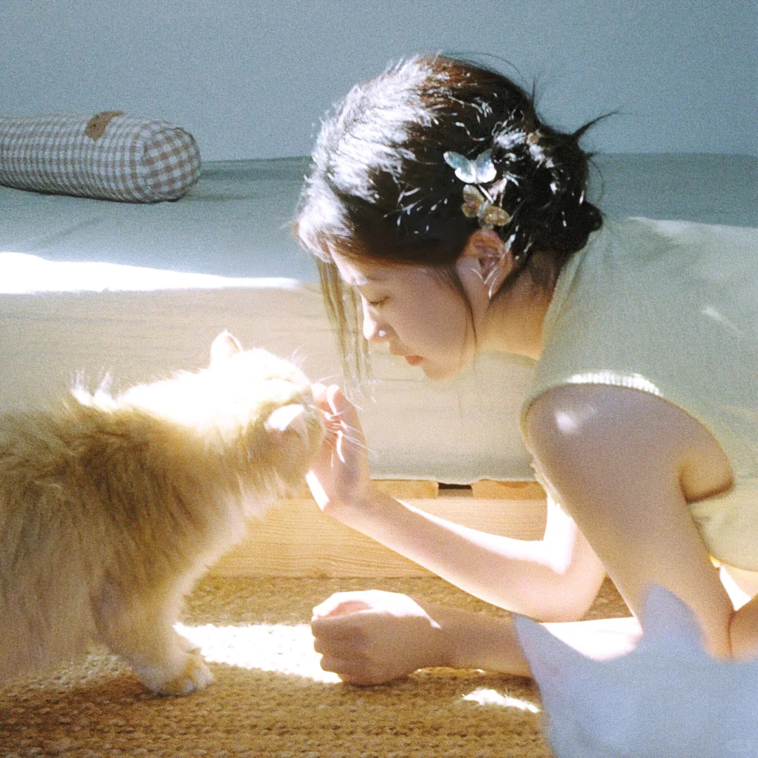 🌷𝙎𝙝𝙖𝙧𝙚｜优质女头