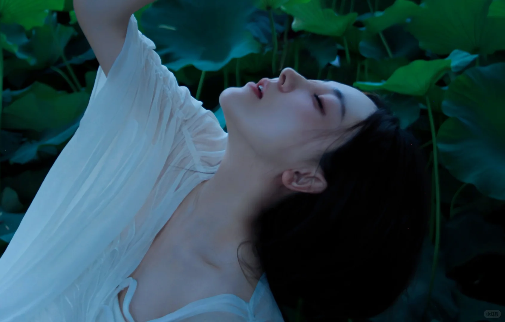 这组清冷荷花美人我会爱死