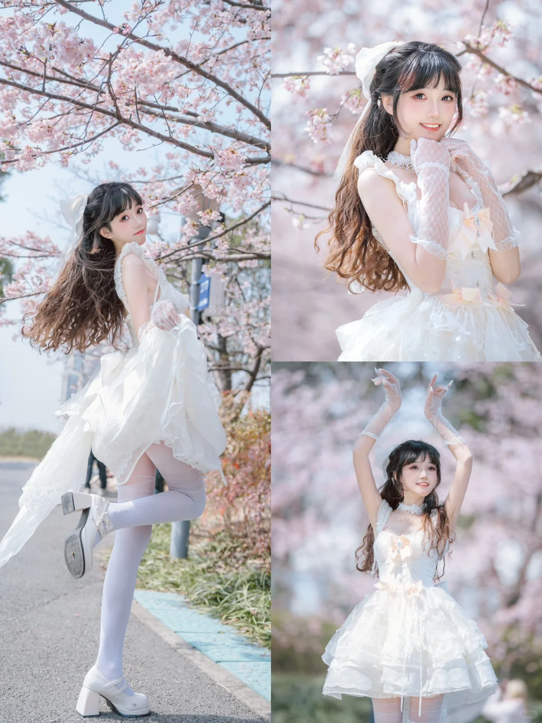 交大大四 | 像翩翩起舞的樱花芭蕾少女🩰🌸