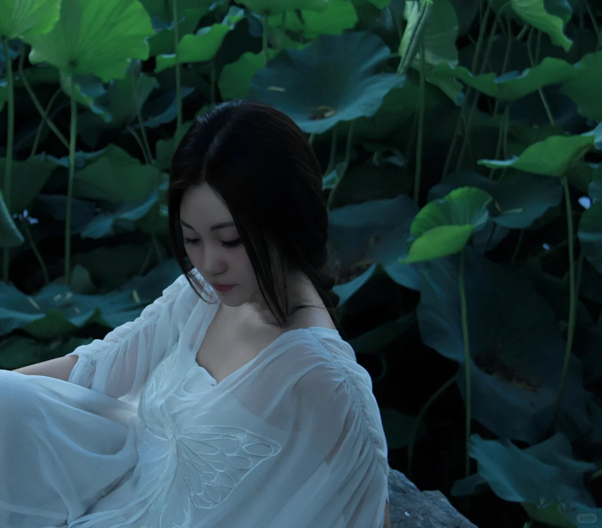 这组清冷荷花美人我会爱死