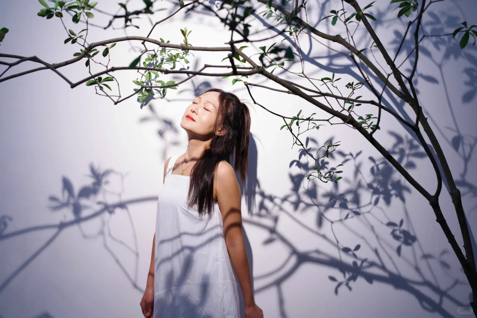人生照片｜客片长这样｜深圳女摄约拍
