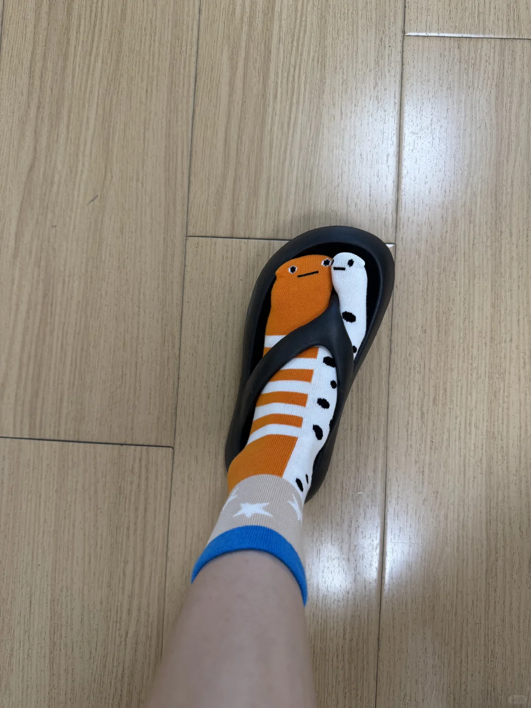 闺蜜你会为我买的吧❗️花园鳗袜子chao搞笑！
